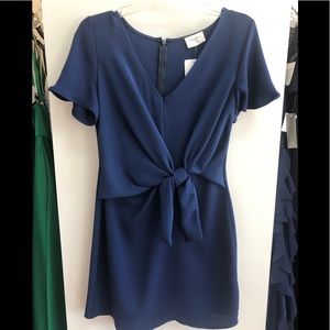 NWT Everly Dress